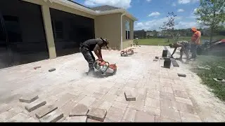 Back patio transformation 🌱🧱🚜