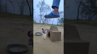 New Amazing House Creative Videography 🔥🏠 #shorts #creative #videography #creativephotography #funny
