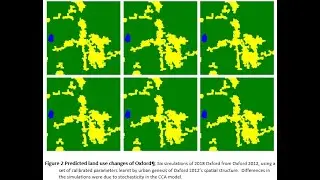 A Baysian approach to complex decision making