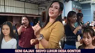 SENI GAJAH SEDYO LUHUR DESA GONTOR MLARAK PONOROGO 30/6/2024