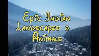 India’s Nature & Wildlife. भारत की प्रकृति और वन्यजीव. Природа и животные Индии