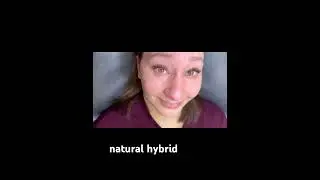 Natural hybrid open style ￼￼