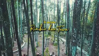 Di Antara Rimbun dan Tawa: Pesona Desa Wisata Ciburial