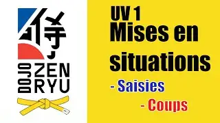 Dojo Zen Ryu – UV1 : Mises en situations (Saisies et Coups) | Ceinture Jaune