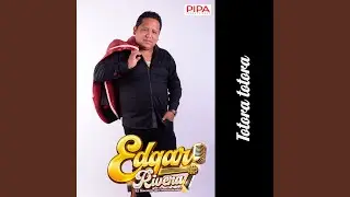 Totora totora (Live)