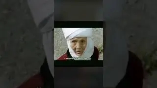 А. Навои паркы жонундо