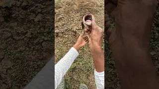 Lures factory monster frog lure #fishingvideos #snakeheadfish #tamilsnakeheadangler