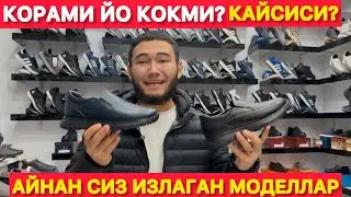 АЙНАН СИЗ ИЗЛАГАН МОДЕЛЛАР КОРАМИ ЙО КОКМИ? КАЙСИСИ? ЯНГИЛИК 