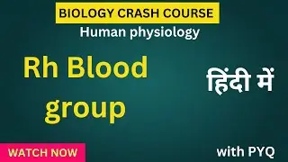 Rh blood group|| easy explanation || with pyq|| human physiology