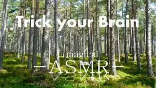 [3D ASMR] Amazing Forest Sounds (Binaural ASMR) - 1 Hour  - Relaxing / Studying