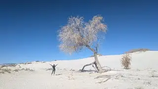 White sands national Park