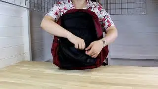 DC The Breed Backpack in Cabernet Demo
