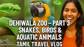 🐍 Dehiwala Zoo &ndash; Part 3 | Snakes, Birds & Aquatic Animals 🐊 | Tamil Travel Vlog
