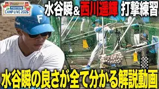 水谷瞬の良さが全てわかる打撃解説動画「ヘッドの位置が変わらない」＆西川遥輝 打撃練習＜2/3ファイターズ春季キャンプ2026＞