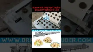 Automatic Dog Pet Cracker Biscuit Production Line #snacks #corn #oat #oatmeal #soya #2d