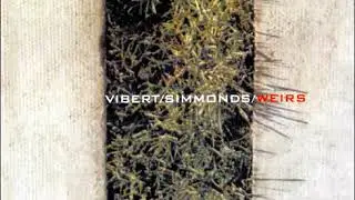 Luke Vibert / Jeremy Simmonds - 