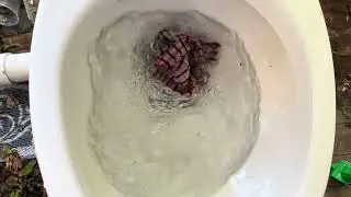 2017 glacier bay high efficiency toilet tests