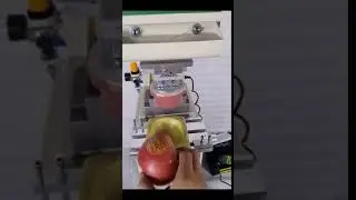 Apple Pad Printing Machine