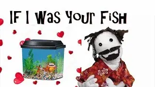 If I was Your Fish- Dr Cheese from Dr Cheese's Greatest Hits Vol. 2