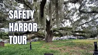 Почему &laquo;Safety Harbor&raquo; похож на фильм, снятый по мотивам реальной жизни | Путеводитель по Флориде
