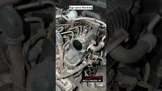 Scorpio N egr valve cleaning