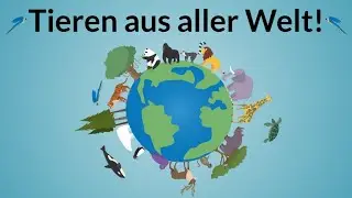 Tiernamen auf Deutsch – Lerne die wichtigsten Tiere mit korrekter Aussprache und Bedeutung! | 78 |