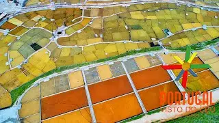 Rio Maior Salt Evaporation Pools ✨ aerial view - Salinas de Rio Maior vista a&eacute;rea - 4K Ultra HD