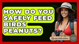 How Do You Safely Feed Birds Peanuts? - Bird Watching Diaries