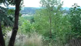 1895 church st dallas oregon home or lot for sale on half acre lot w/ view