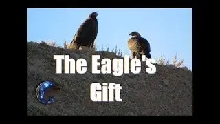 What Is The Eagle's Gift? Carlos Castaneda Quotes