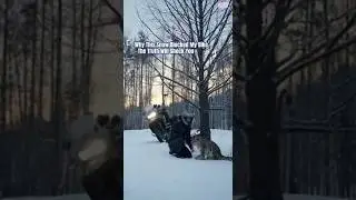 Why This Snow Blocked My Bike - The Truth Will Shock You  #SnowLeopard #AnimalRescue #Biker