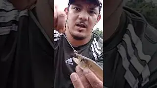 #shots #pesca #vida #comida #fam&iacute;lia #humor #acampamento #liberdade #amor #frito