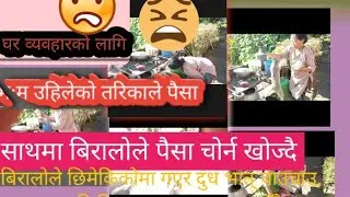 how to money counting/money management in daily life/cat videos funny
