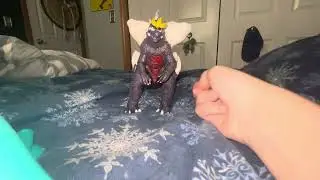 Showing new customs and things that you will probably see in the future ￼