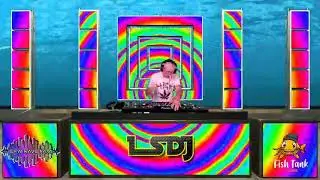 Best DJ in TX! LSDJ Fish Tank Sessions 2022 - DFW RAVE FAM TAKEOVER Texas Raves