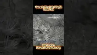 Thermal Drone + IR Light = Buck at Night! (M30T & JZ T60R) #drone #video #hunting #dji #gaming