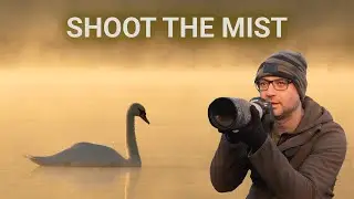 Bird Photography at Sunrise - But is There Enough Mist? (Canon EF 400mm F/5.6 Lens & Canon R6)