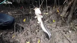 Spot Mancing Sembilang Paling Ganas