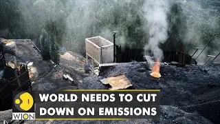 UN climate report: The World needs to cut down on emissions | World Latest English News | WION