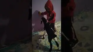 Navaditya Singh Rathore##viral shorts 😀#picho koni chodu#