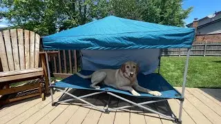 Arcadia Trail Elevated Canopy Cot review