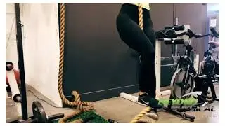Beyond Physical Spartan Training