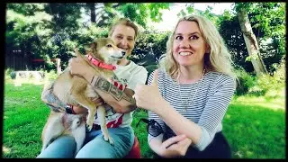 De R en de P afvinken en...heel veel hondjes!! | SHOPPEN & SHIBA'S | SpullenSpullenSpullen Video #96