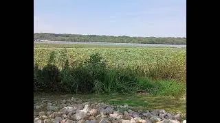 US Army Corps of Engineers, Fisherman's Corner Recreation Area, Hampton, Illinois.