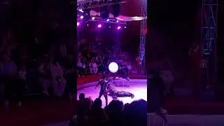 Nikulinsky circus dynasty show