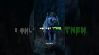 The wolf Mindset #motivation #viral #wolf