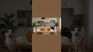 A Day in the of Life jaji #cat #internetculture #funny #internetmeme #memes #vlog