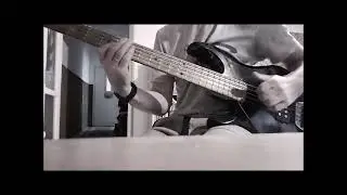 Red Hot Chili Peppers Freaky Styley bass cover by Cs