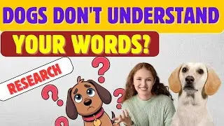 &ldquo;Do Dogs Understand Human Language? | Explained by Science (Hindi)&rdquo;