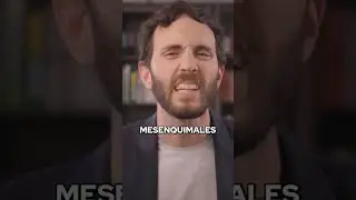 C&oacute;mo Aumentar tus C&eacute;lulas Madre Con Sustancias Naturales